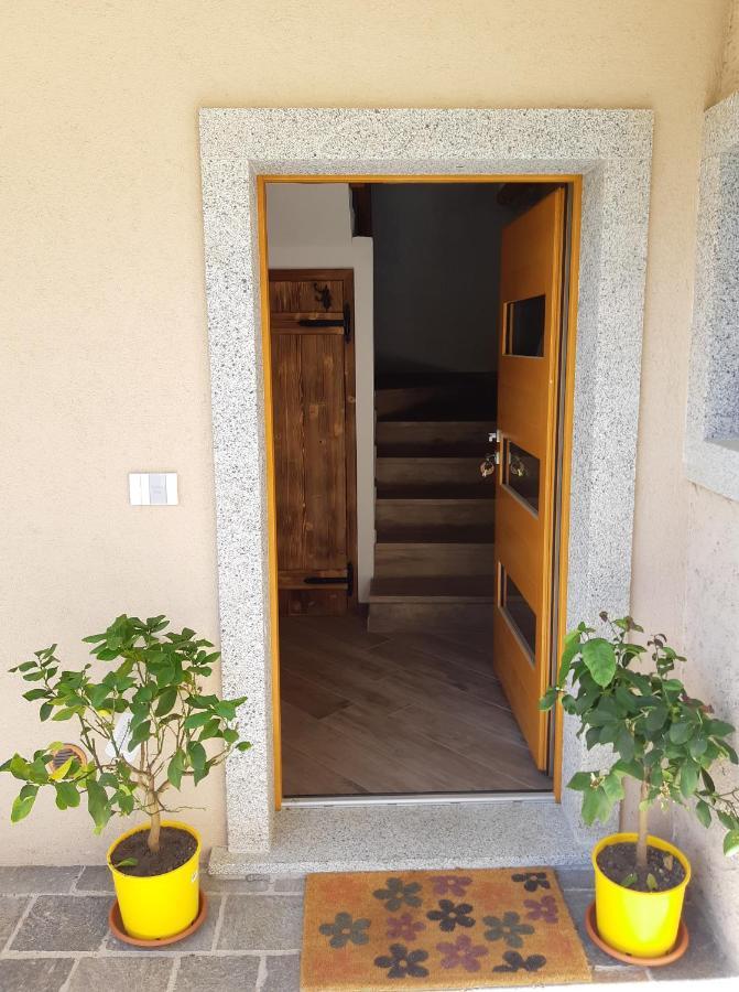 Ledro Nest Apartment Mezzolago Bagian luar foto