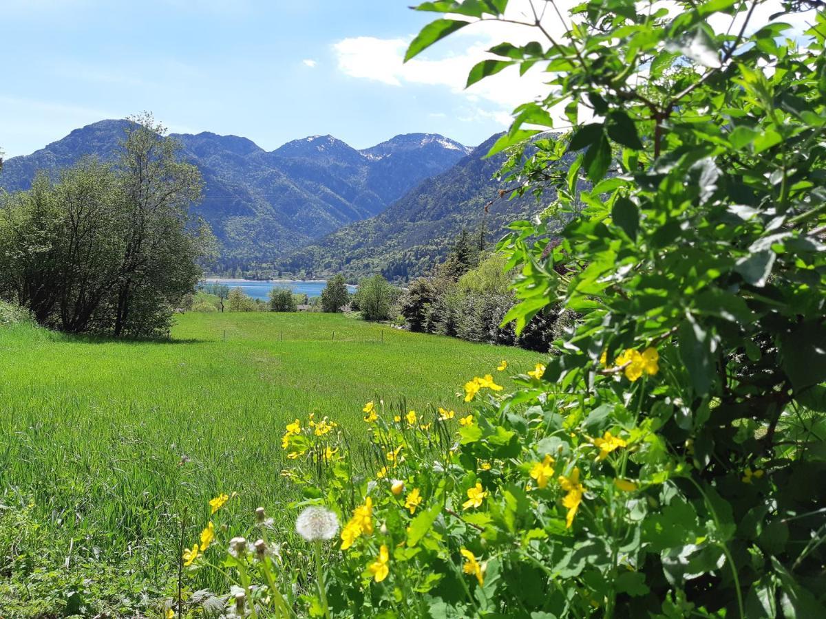 Ledro Nest Apartment Mezzolago Bagian luar foto